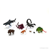 Wild Shape & Polymorph (Set 1): D&D Icons of the Realms WZK 96046