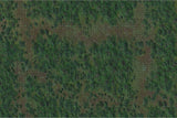 Forest Battle Mat: D&D Icons of the Realms WZK 96049